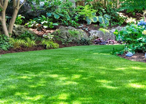 Shade tolerant grass. Your guide to choosing the right shade-tolerant grass for your climate, and how to keep it growing healthy It's a constant yard struggle: your grass seems ... 