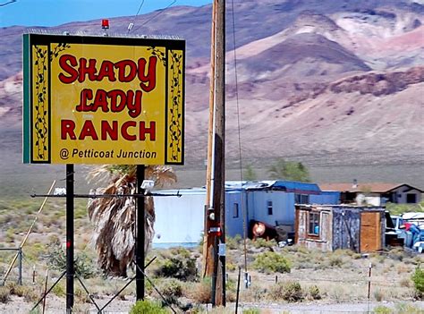 Shady lady ranch