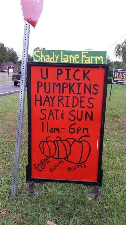 Shady lane pumpkin patch. Why would you get a sickeningly sweet latte when the scone is right there?! Fall is here, which means a deluge of questionable pumpkin spice items, along with some dubious opinions... 