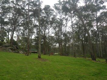 Shale Sandstone Transition Forest in the Sydney …