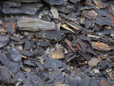 Black shale is a dark-colored mudrock containing organic matter that may have generated hydrocarbons in the subsurface or that may yield hydrocarbons by pyrolysis. Many black shale units are enriched in metals severalfold above expected amounts in ordinary shale. Some black shale units have served as host rocks for syngenetic metal deposits.Black …