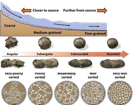 Subsequent erosion and sorting produce sands enriched in quartz, with high K-feldspar:plagioclase ratios relative to source rocks. ... most sedimentary rocks-shales and equivalent mud-grade materials-are too fine-grained for petrographic examination, and (2) rock fragments are rare to non-existant in most "basement" source terranes. We use a .... 