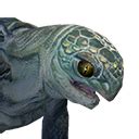 The "Tusk" trophy is a hyena head once completed and ready to place, also the name is weird coding language. Cant seem to find shaleback hatchling shells and ive been farming for days. Giant spiders near silkwood are gnlitchy and random af. Cant target grey rhinos.. 