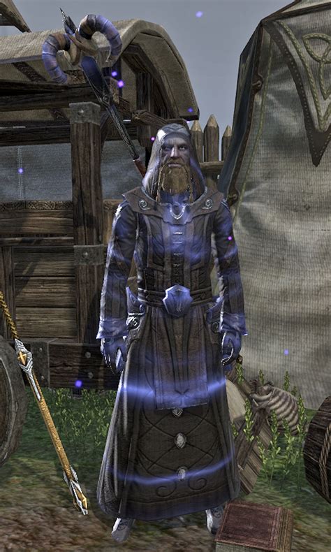 Shalidor. Arch-Mage Shalidor is a legendary Nord mage from the First Era. When you are tasked by the Mages Guild to collect rare books, he will appear and ask you to collect four rare tomes to take back his sanctuary, Eyevea, from the Shivering Isles. 