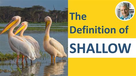 Shallow dish meaning in tamil.  Learn the definition of 'Shallow'.  The lea...