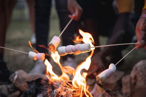 Shamallow Leaked [PPV] 💦