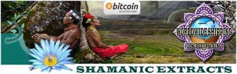 Shamanic Extracts Ethnobotanicals is a supplier of interesting seeds, herbs, plants and specialized manufacturer for salvia divinorum and other ehtnobotanical extracts. Come on in and find out more. Search 