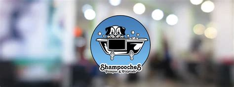 Shampooches - 28 reviews and 11 photos of Shampooch & Kitty "I'm surprised there are no reviews for this place. It's a local staple place! I bring my dog here and so do a lot of people I know, it was recommended to me to go here, and I'm happy I did! Great prices, great friendly people, fast service too! As much as I hate taking my dog to the vet, groomers, ect...