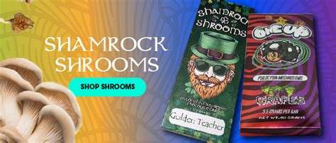 Shamrock shrooms la. It was a rainy day in December 2023, and I was helping journalist Webb Wright investigate the underground mushroom market for Issue No. 11 of DoubleBlind Magazine. I had been on a rampage buying mushroom products from various sketchy sources in Los Angeles—illegal dispensaries, online delivery services, smoke shops, and a very trappy "sesh.". 
