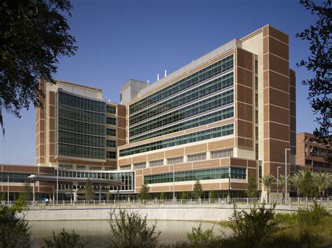 North Florida Regional Medical Center is now HCA Florida North Florida Hospital. Located 3.5 miles from the University of Florida campus, our hospital is a 510-bed, full-service medical and surgical acute care center serving North Central Florida. We offer a wide range of services including cardiovascular care, oncology, orthopedics, women's .... 