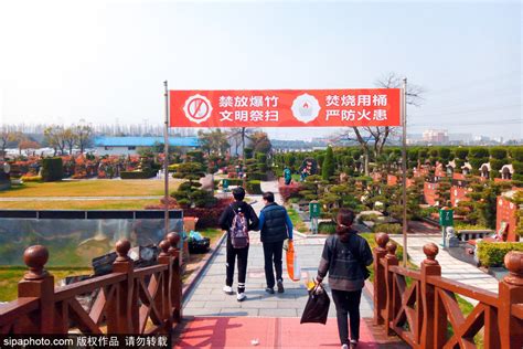 Shanghai urges residents not to visit cemeteries during Tomb …