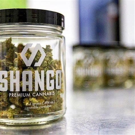 Shango weed. Things To Know About Shango weed. 