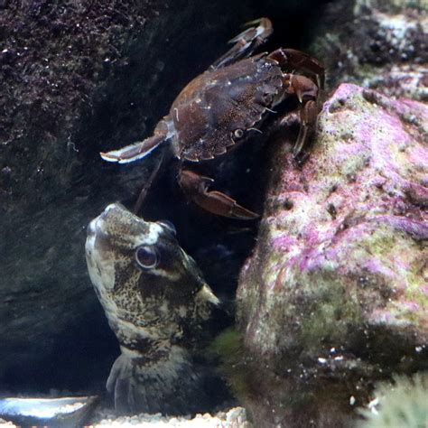 Profile picture of Shanny Torphy