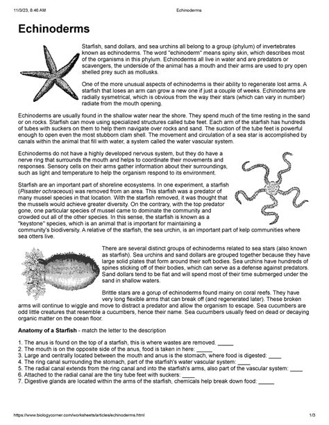 Shape Of Life Echinoderms Worksheet Answer Key
