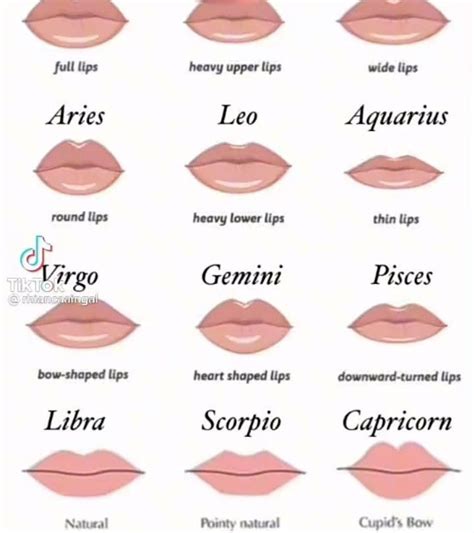 Shape zodiac sign lips. Leo rules the hearth and the back. With a dominant Leo in the birth chart, the face is angular with large eyes, high cheekbones, and a reddish complexion. The lips are usually full with a flashed complexion. The head is often large with a pronounced chin. The nostrils are flaring, and the body temperature is warm. 