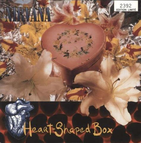 Shaped box nirvana. Things To Know About Shaped box nirvana. 