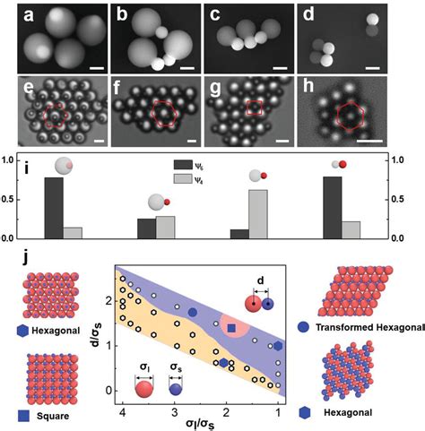 Shaping colloids for self-assembly - NASA/ADS