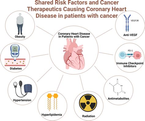 Shared Risk Factors in Cardiovascular Disease and Cancer