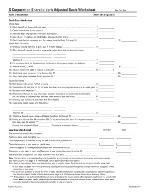 Shareholder Basis Worksheet Excel Escolagersonalvesgui