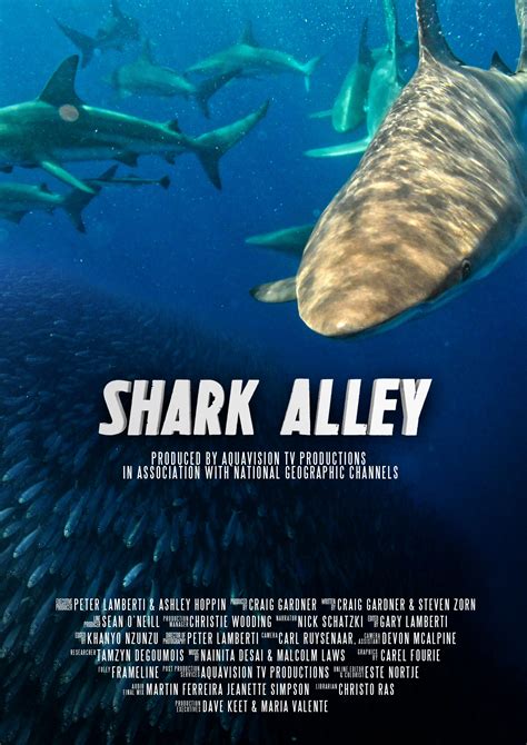 Shark Alley - Blogger