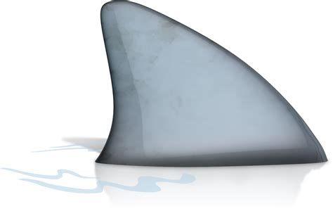 Shark Fin PNG & Download Transparent Shark Fin PNG Images for …