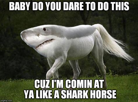 Shark Horse - Imgflip