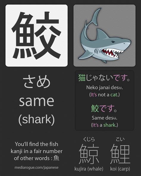 Shark Japanese Translation