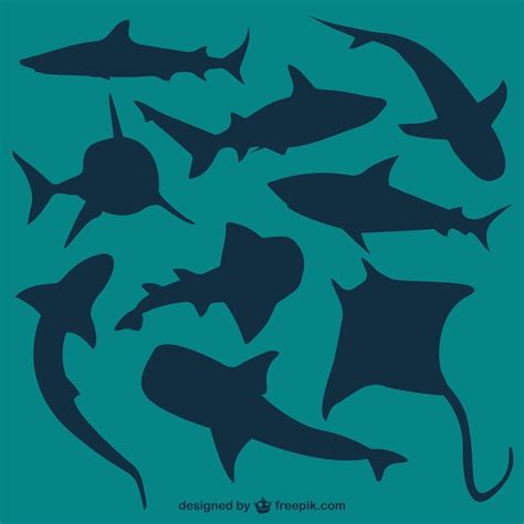 Shark Silhouette Images - Free Download on Freepik