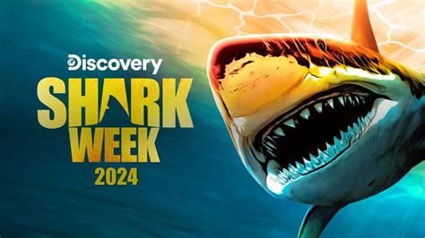 Shark Week 2024 In Photography The Latest Shark Week …