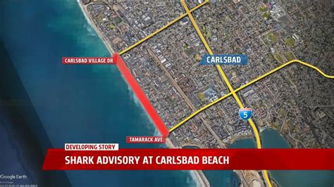 Shark advisory posted at Carlsbad beach