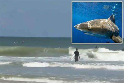 Shark bites off surfer