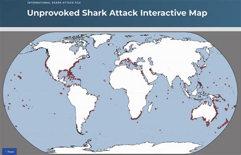 Global total of unprovoked shark bites slightly higher than average. The 2023 worldwide total of 69 confirmed unprovoked cases is in line with the most recent five-year (2018-2022) average of 63 incidents annually. There were 14 confirmed shark-related fatalities this year, ten of which are assigned as unprovoked.. 