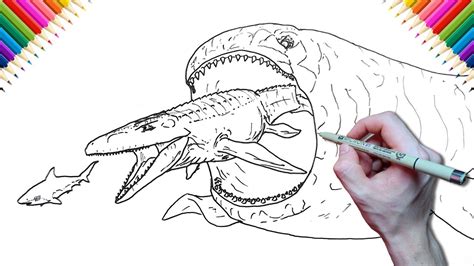 Shark vs Mosasaurus vs Bloop Drawing and Coloring YouTube
