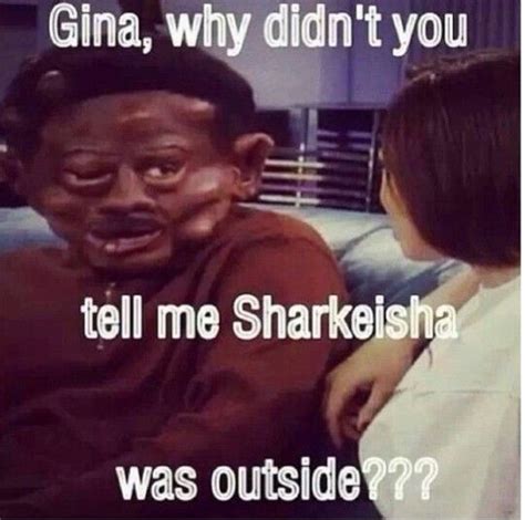 Sharkeisha? – Memes Feel