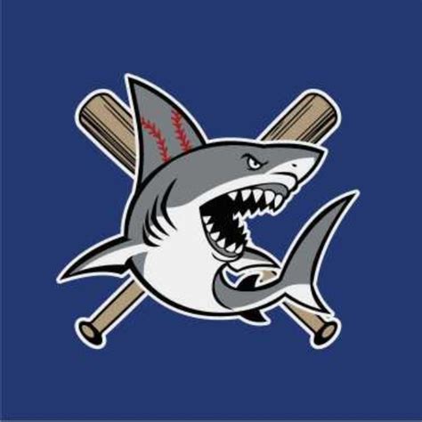 Sharks Baseball Academy added 20... - Sharks Baseball Academy