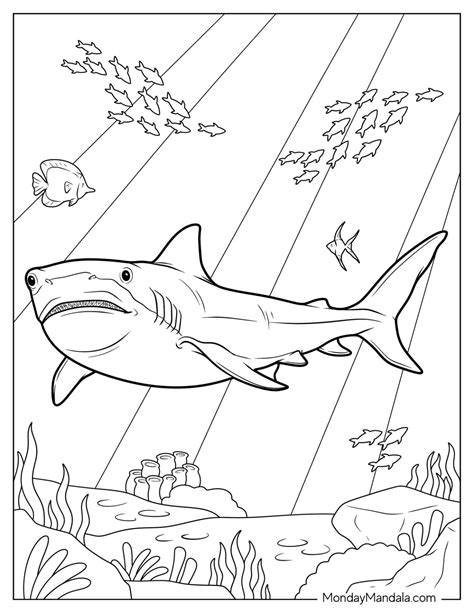 Sharks Coloring Page