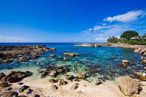 Sharks cove oahu. Shark's Cove is one of my favorite places on Oahu. This ancient lava field has eroded into a sheltered cove with sea caves and tunnels. 