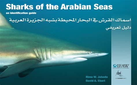 Sharks of the Arabian Seas: an identification guide