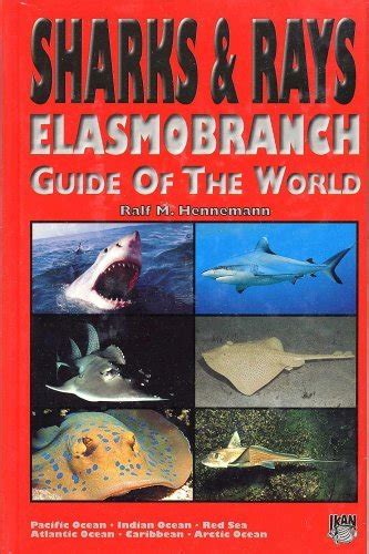 Sharks rays elasmobranch guide of the world. - Physics serway jewett solutions manual volume 2 eighth.