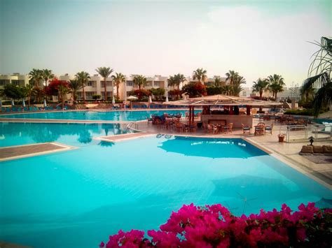 Sharm Reef Resort, Sharm El Sheikh - omdömen - Tripadvisor