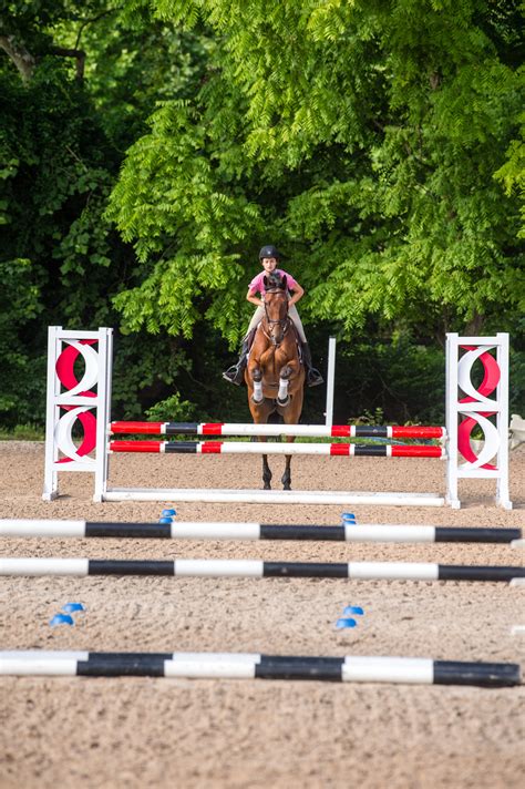 Sharpen Your Show-Jumping Skills - Practical Horseman