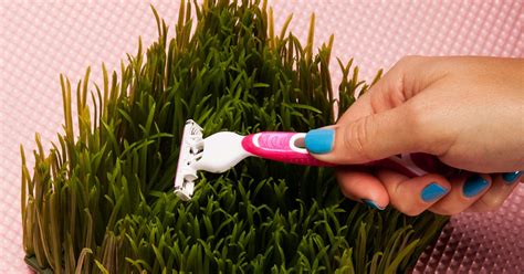 Shaving vag. If you have ingrown pubic hairs, the first step is to stop shaving temporarily. Shaving over an irritated area may end up making it worse. Ceasing hair removal for four weeks allows the hairs to grow long enough to pull themselves out (Ogunbiyi, 2019). Reaching for the tweezers may be tempting, but letting nature run its course is safest. 