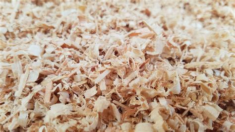 Shavings