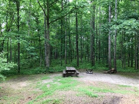 Shawnee national forest camping. From intimate dinners to feeding the whole crew, your camping grill and stove offers you the flexibility you need to enjoy alfresco dining. We may be compensated when you click on ... 