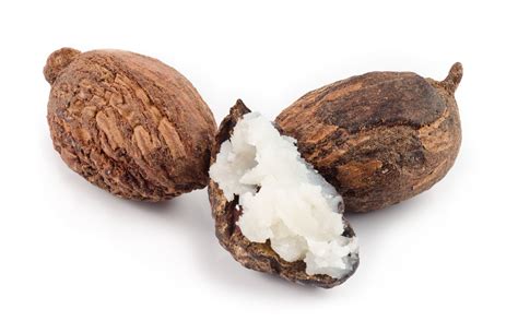 Shea Butter - Butyrospermum parkii butter - Cosmetic ingredients ...