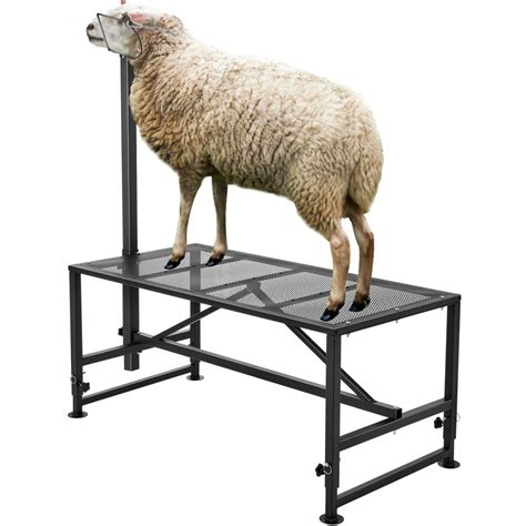 Shearing stand for sale. .  <a href=https://supersync.ifresh.cloud/assets/images/88mlv0/index.p...