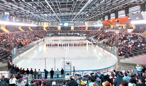 Sheels arena. Things To Know About Sheels arena. 