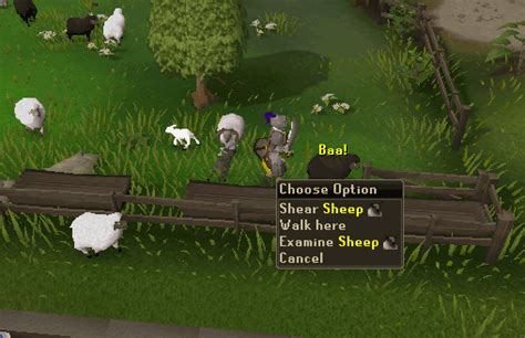 Sheep Shearer - RuneScape Guide - RuneHQ