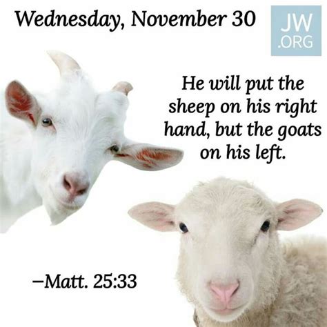 Sheep and Goats Where will Christ put Us