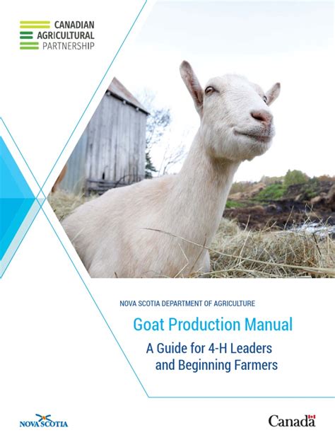 Sheep and goat production manual pdf Peatix